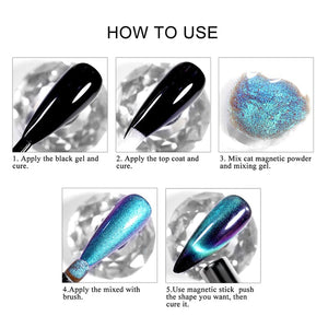 Silver Moon Cat Magnetic Nail Powder Nail Powder No Brand