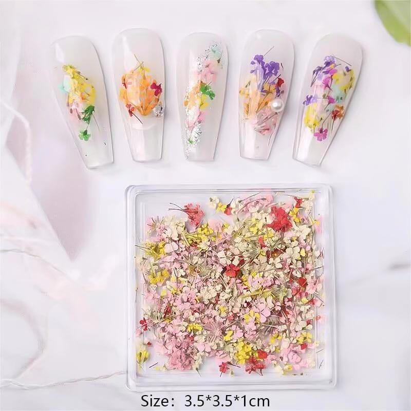 DIY Small Dried Flowers Nail Decoration Nail Decoration No Brand 01