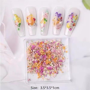 DIY Small Dried Flowers Nail Decoration Nail Decoration No Brand 03