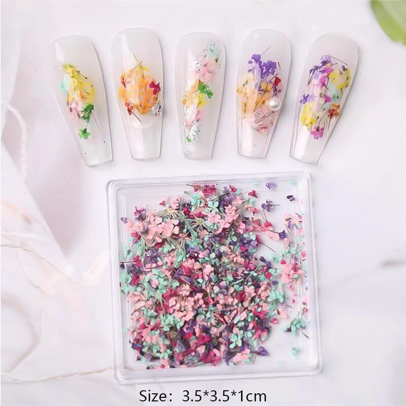 DIY Small Dried Flowers Nail Decoration Nail Decoration No Brand 04