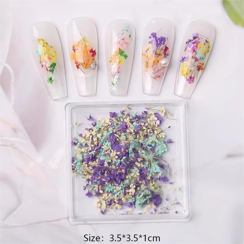 DIY Small Dried Flowers Nail Decoration Nail Decoration No Brand 06