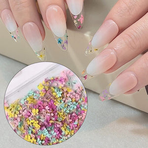 DIY Small Dried Flowers Nail Decoration Nail Decoration No Brand