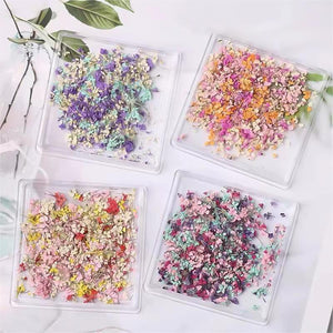 DIY Small Dried Flowers Nail Decoration Nail Decoration No Brand