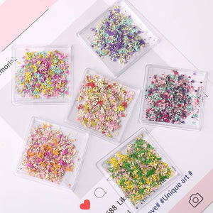 DIY Small Dried Flowers Nail Decoration Nail Decoration No Brand