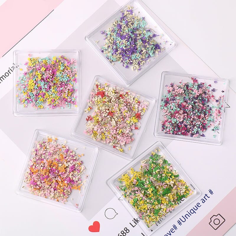 DIY Small Dried Flowers Nail Decoration Nail Decoration No Brand