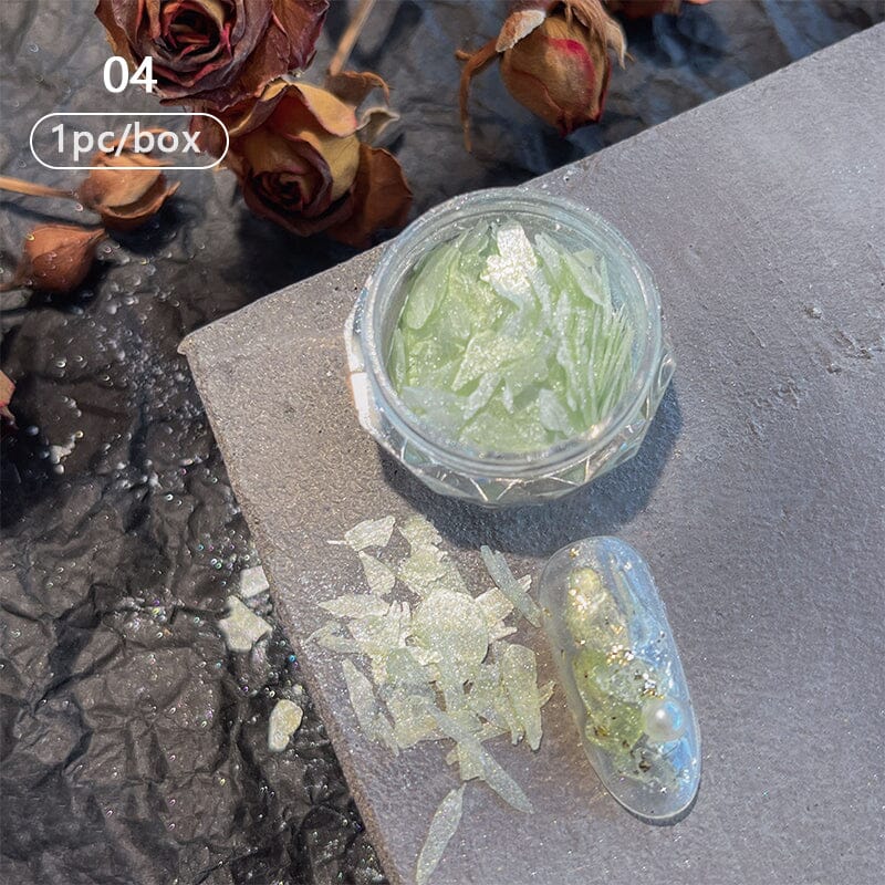 Irregular Natural Shell Pieces 3D Nail Decorations Nail Decoration No Brand 04