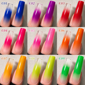 9 Colors Pat Painting Gel Prism Page Gel Nail Polish BORN PRETTY