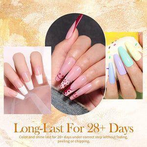 [US ONLY] Transparent Nail Extension Gel Kit Kits & Bundles BORN PRETTY 