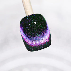Rainbow Cat Magnetic Gel LC-R04 7ml Clearance LILYCUTE 