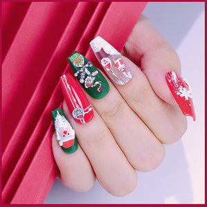 12 Fächer Weihnachten Nail Art Scheiben