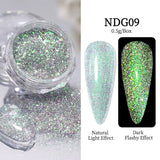 Auroras Reflective Giltter Nails Powder Nail Powder NICOLE DIARY NDG009 