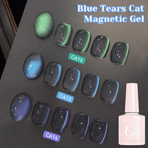 Cat Magnetic Gel Polish Fruit Series 10ml Clearance NICOLE DIARY 