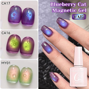 Cat Magnetic Gel Polish Fruit Series 10ml Clearance NICOLE DIARY 